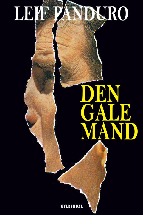 Omslag: Den gale mand