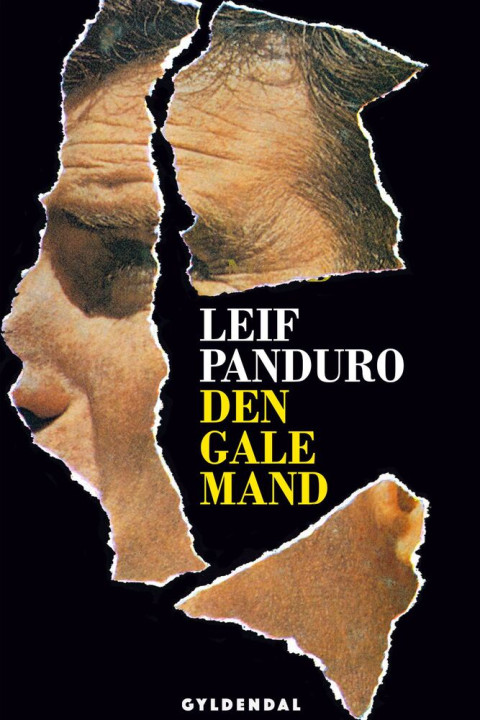 Omslag: Den gale mand