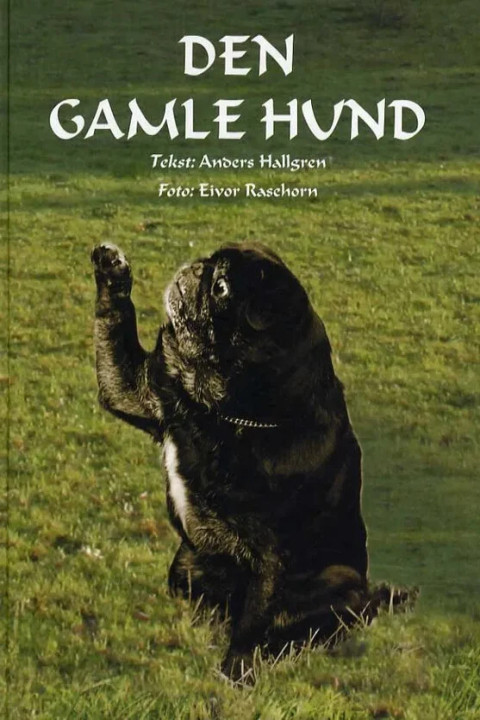 Omslag: Den gamle hund