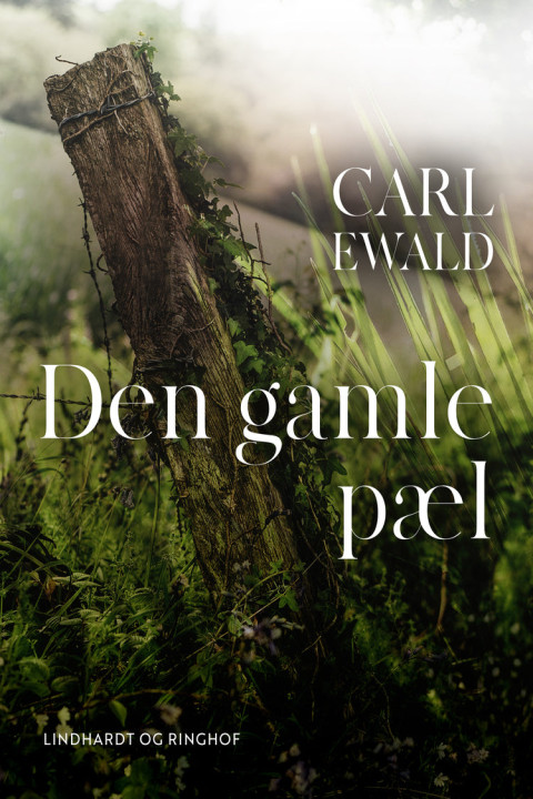 Omslag: Den gamle pæl