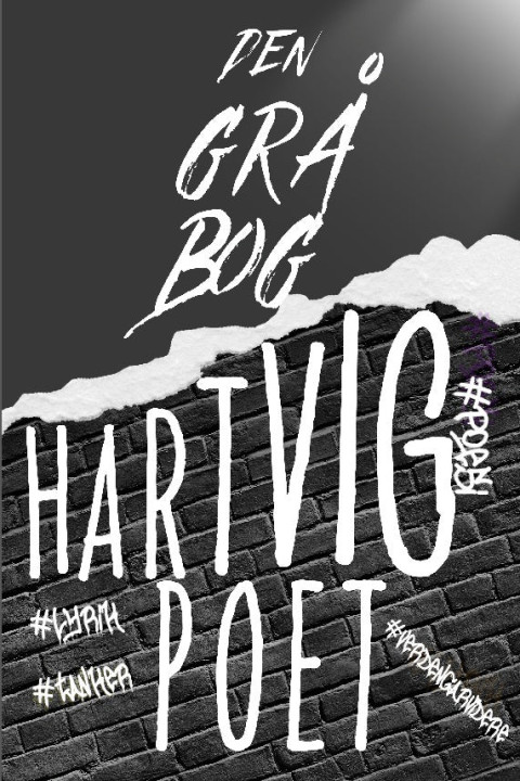 Omslag: Den grå bog