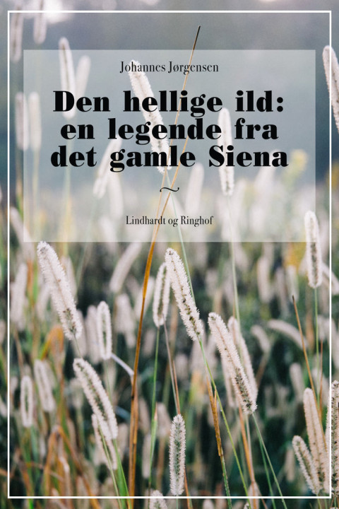 Omslag: Den hellige ild