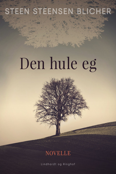 Omslag: Den hule eg