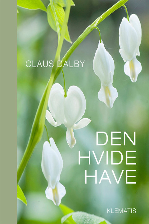 Omslag: Den hvide have