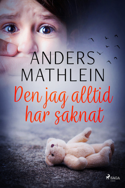 Omslag: Den jag alltid har saknat