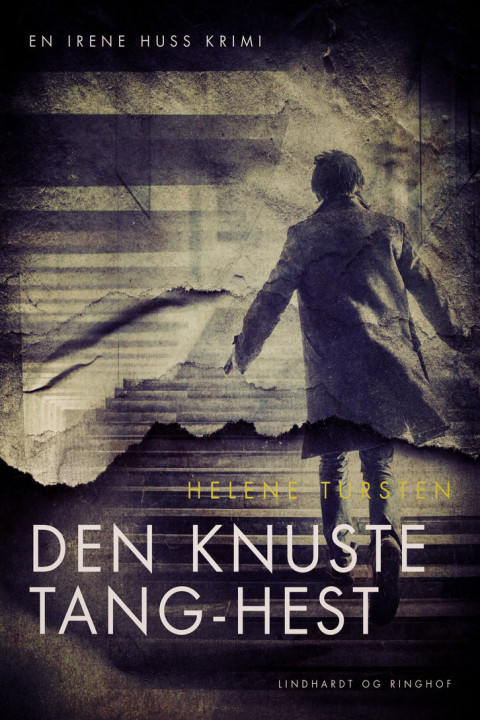 Omslag: Den knuste tang-hest
