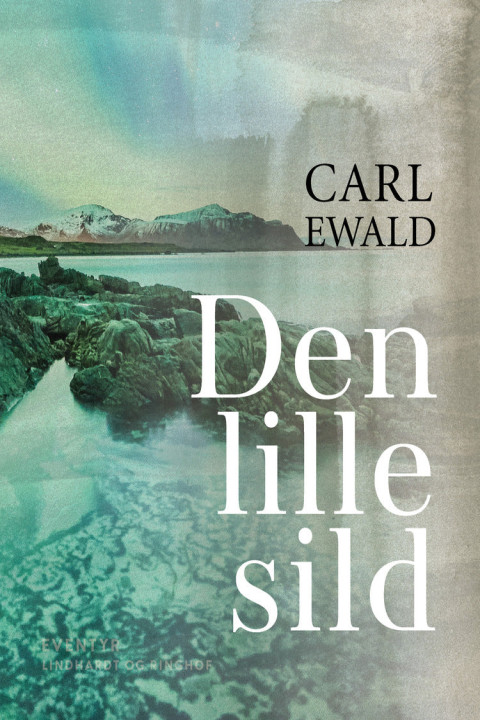 Omslag: Den lille sild