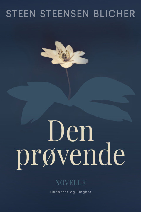 Omslag: Den prøvende