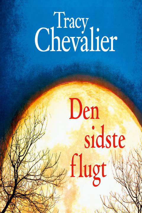 Omslag: Den sidste flugt