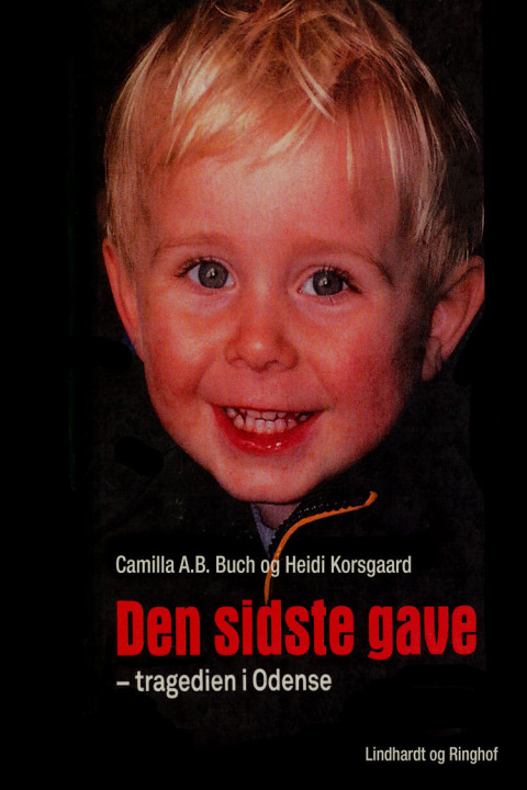 Omslag: Den sidste gave
