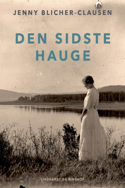 Omslag: Den sidste Hauge