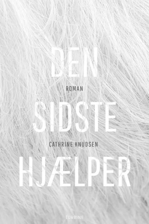 Omslag: Den sidste hjælper