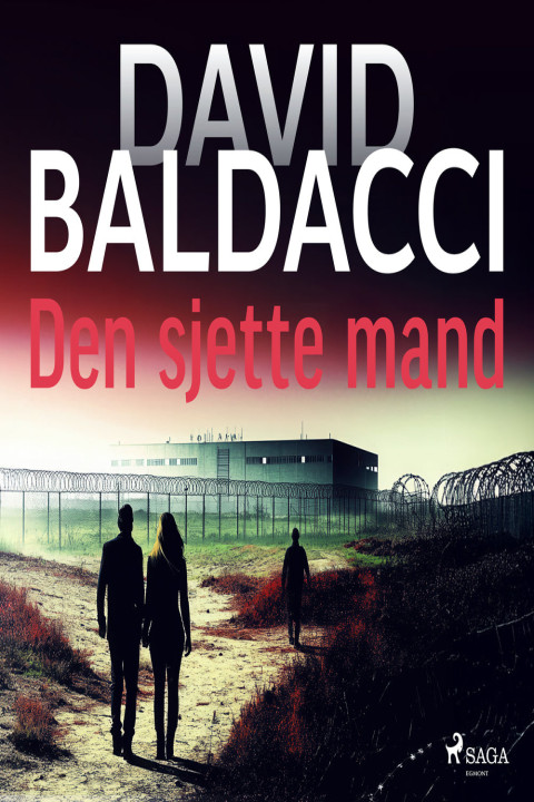 Omslag: Den sjette mand