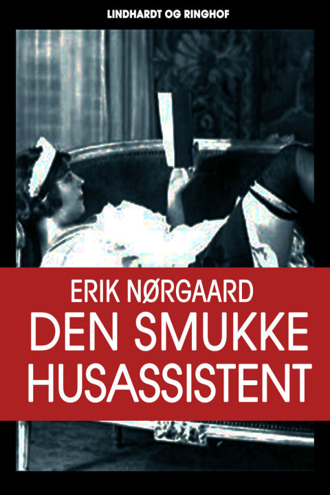 Omslag: Den smukke husassistent