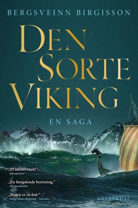 Omslag: Den sorte viking