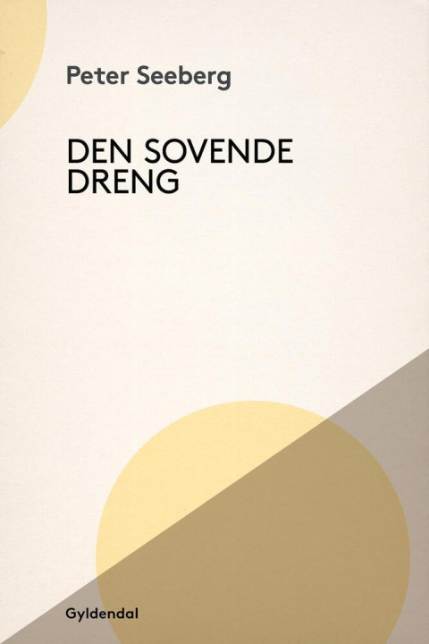Omslag: Den sovende dreng