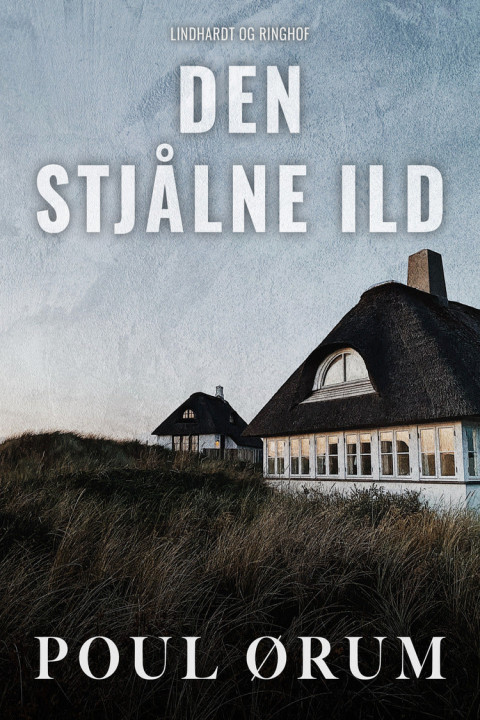 Omslag: Den stjålne ild