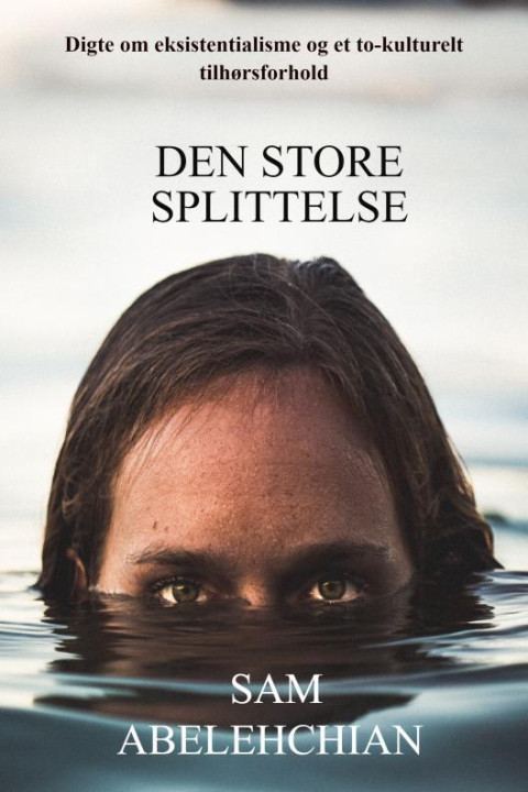 Omslag: Den store splittelse