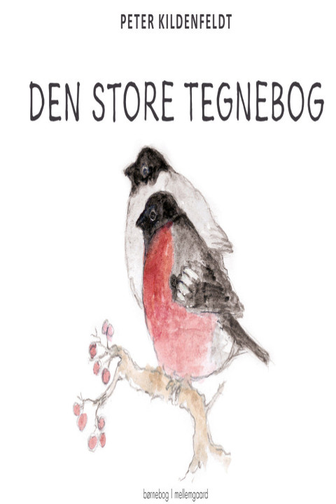 Omslag: Den store tegnebog