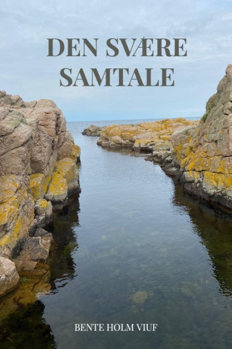 Omslag: Den svære samtale