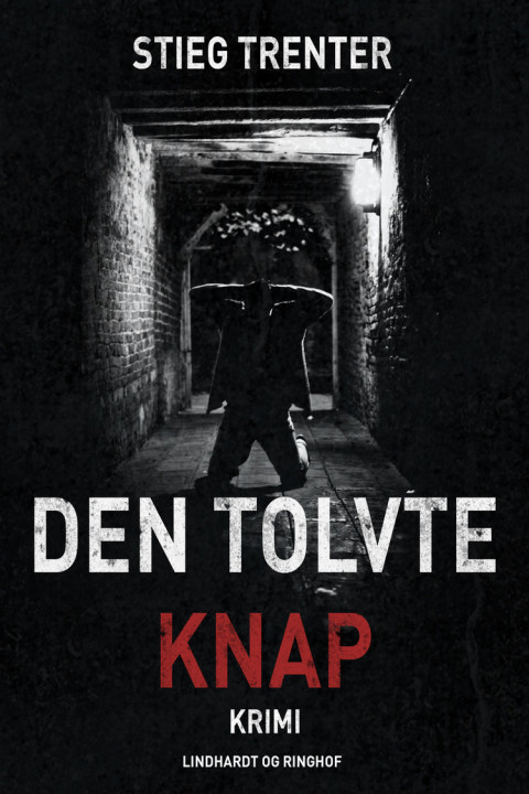 Omslag: Den tolvte knap