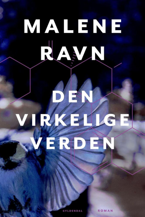 Omslag: Den virkelige verden