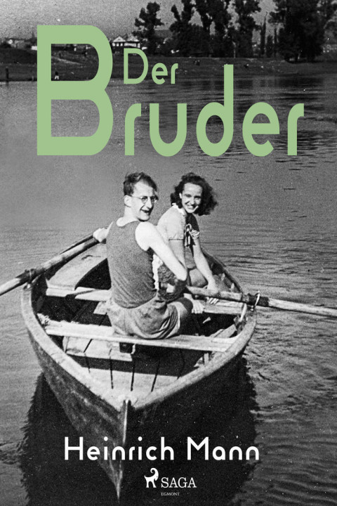 Omslag: Der Bruder