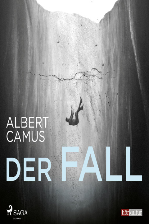 Omslag: Der Fall