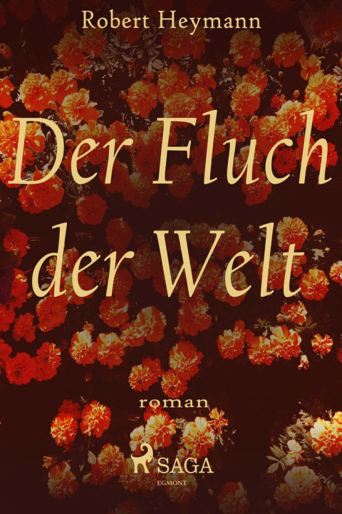 Omslag: Der Fluch der Welt