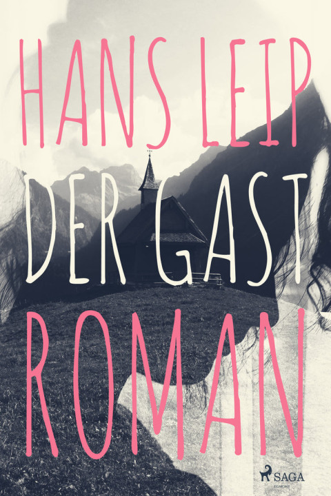 Omslag: Der Gast