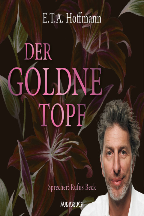 Omslag: Der goldne Topf