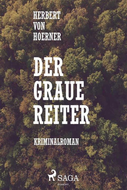 Omslag: Der graue Reiter