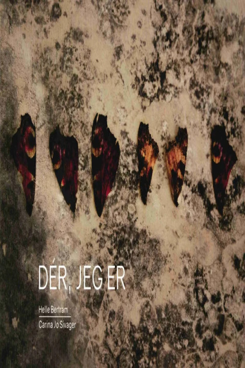 Omslag: Der, jeg er