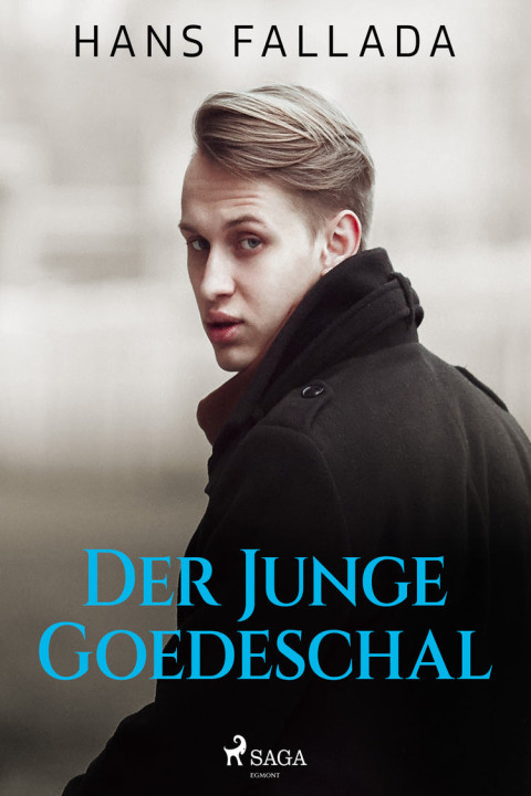 Omslag: Der junge Goedeschal