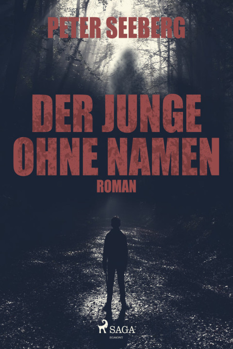 Omslag: Der Junge ohne Namen
