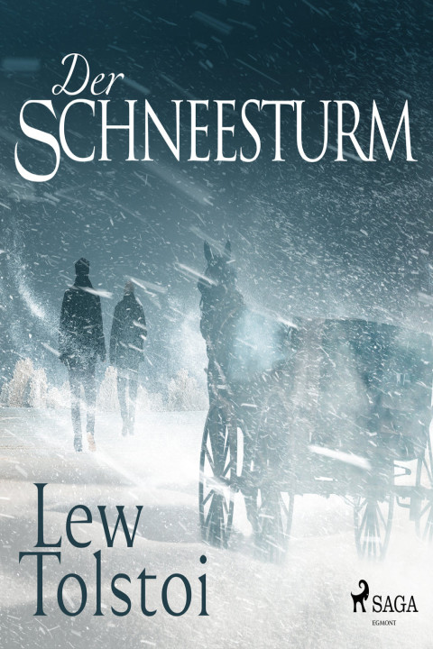 Omslag: Der Schneesturm
