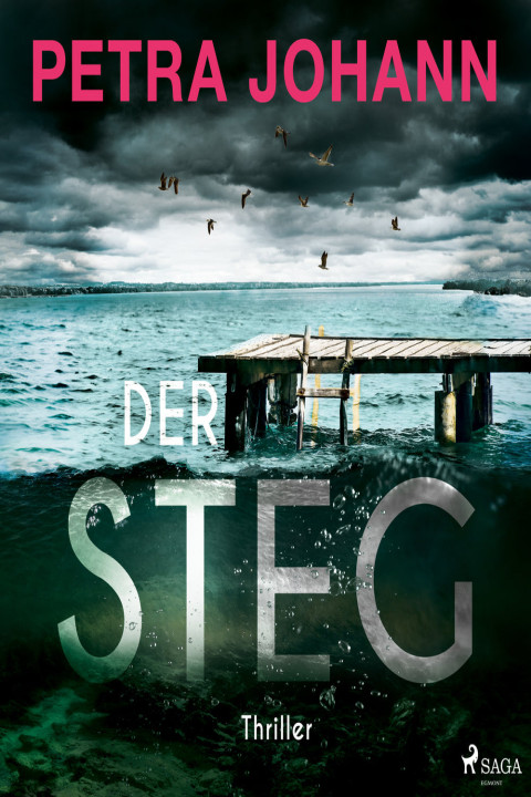 Omslag: Der Steg