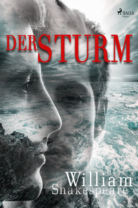 Omslag: Der Sturm
