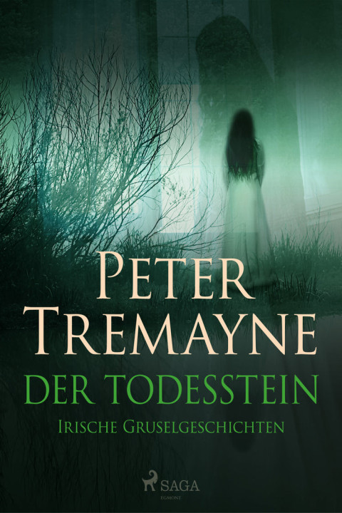 Omslag: Der Todesstein