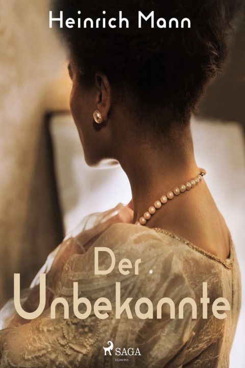 Omslag: Der Unbekannte