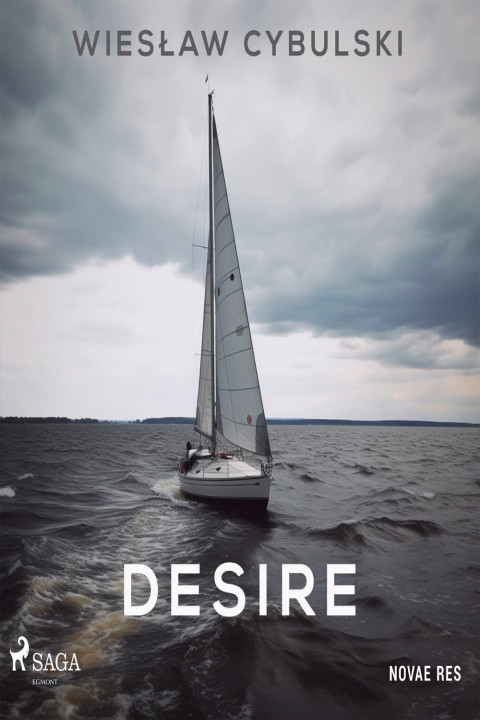 Omslag: Desire