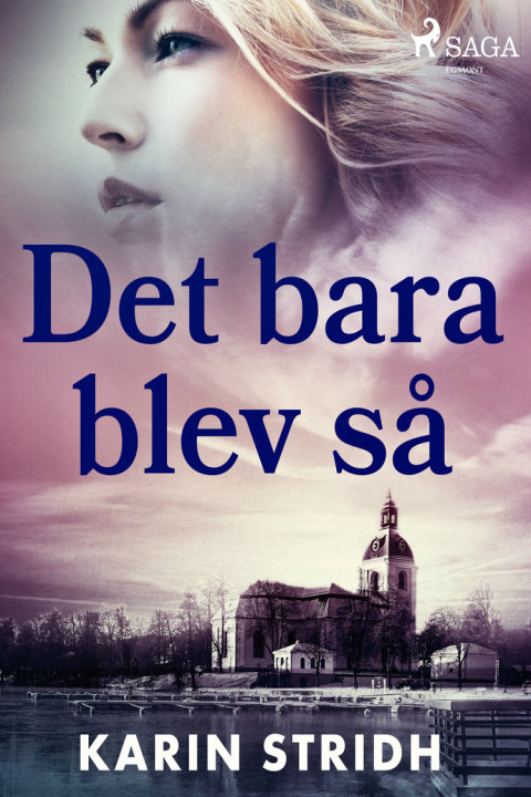 Omslag: Det bara blev så