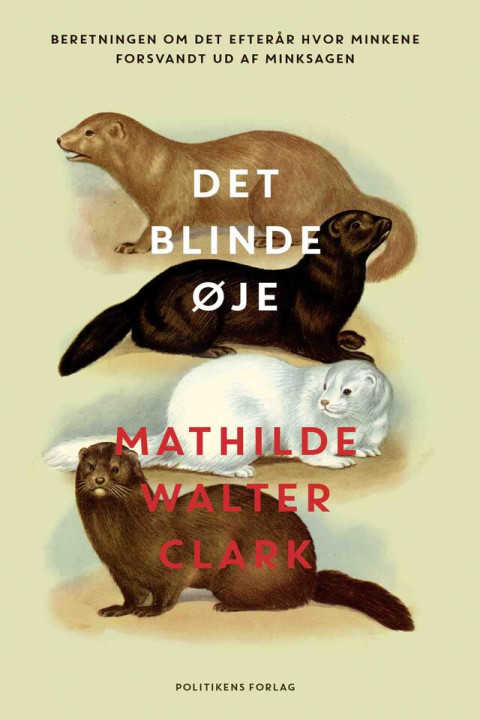 Omslag: Det blinde øje
