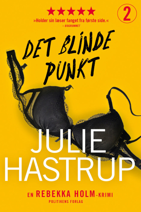 Omslag: Det blinde punkt