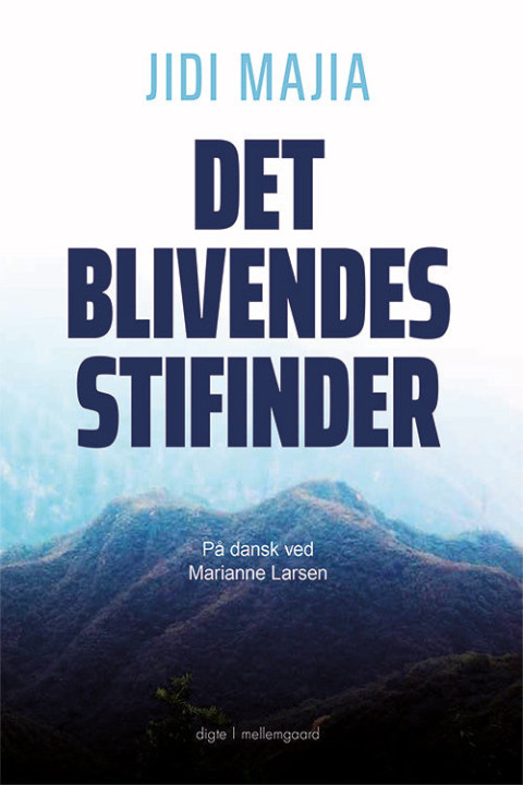 Omslag: Det blivendes stifinder