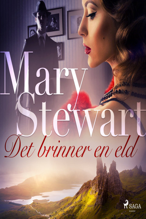 Omslag: Det brinner en eld