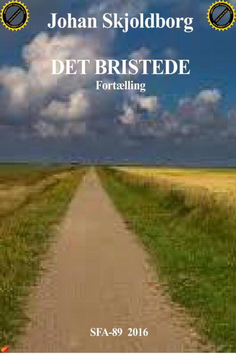 Omslag: Det bristede