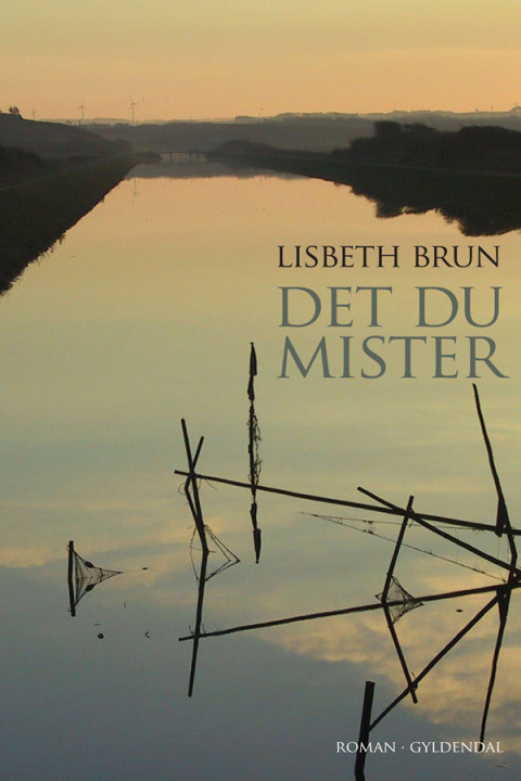 Omslag: Det du mister