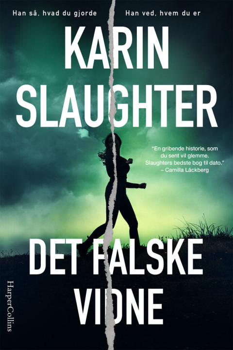 Omslag: Det falske vidne