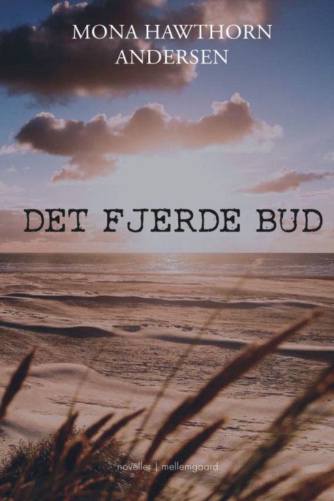 Omslag: Det fjerde bud
